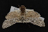  (Lithophane subtilis - CNCLEP00031894)  @14 [ ] CreativeCommons - Attribution Non-Commercial Share-Alike (2016) Unspecified Unspecified