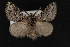  ( - CNCLEP00063083)  @13 [ ] CreativeCommons - Attribution Non-Commercial Share-Alike (2016) Unspecified Unspecified