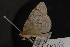  ( - CNCLEP00063156)  @11 [ ] CreativeCommons - Attribution Non-Commercial Share-Alike (2016) Unspecified Unspecified