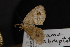  ( - CNCLEP00063158)  @11 [ ] CreativeCommons - Attribution Non-Commercial Share-Alike (2016) Unspecified Unspecified