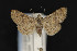  ( - CNCLEP00054417)  @14 [ ] CreativeCommons - Attribution Non-Commercial Share-Alike (2016) Unspecified Unspecified
