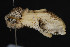 ( - CNCLEP00054441)  @12 [ ] CreativeCommons - Attribution Non-Commercial Share-Alike (2016) Unspecified Unspecified
