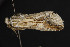  ( - CNCLEP00054449)  @12 [ ] CreativeCommons - Attribution Non-Commercial Share-Alike (2016) Unspecified Unspecified