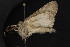  ( - CNCLEP00054451)  @12 [ ] CreativeCommons - Attribution Non-Commercial Share-Alike (2016) Unspecified Unspecified