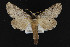  ( - CNCLEP00054454)  @13 [ ] CreativeCommons - Attribution Non-Commercial Share-Alike (2016) Unspecified Unspecified
