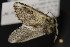  ( - CNCLEP00054479)  @12 [ ] CreativeCommons - Attribution Non-Commercial Share-Alike (2016) Unspecified Unspecified