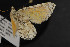  ( - CNCLEP00054514)  @13 [ ] CreativeCommons - Attribution Non-Commercial Share-Alike (2016) Unspecified Unspecified