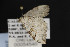  ( - CNCLEP00054540)  @12 [ ] CreativeCommons - Attribution Non-Commercial Share-Alike (2016) Unspecified Unspecified
