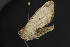  ( - CNCLEP00054590)  @12 [ ] CreativeCommons - Attribution Non-Commercial Share-Alike (2016) Unspecified Unspecified
