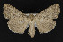  ( - CNCLEP00054598)  @14 [ ] CreativeCommons - Attribution Non-Commercial Share-Alike (2016) Unspecified Unspecified