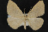  ( - CNCLEP00057713)  @13 [ ] CreativeCommons - Attribution Non-Commercial Share-Alike (2016) Unspecified Unspecified