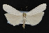  ( - CNCLEP00057730)  @11 [ ] CreativeCommons - Attribution Non-Commercial Share-Alike (2016) Unspecified Unspecified