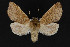  ( - CNCLEP00057800)  @14 [ ] CreativeCommons - Attribution Non-Commercial Share-Alike (2016) Unspecified Unspecified
