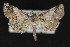  ( - CNCLEP00057844)  @12 [ ] CreativeCommons - Attribution Non-Commercial Share-Alike (2016) Unspecified Unspecified