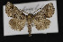  ( - CNCLEP00057845)  @14 [ ] CreativeCommons - Attribution Non-Commercial Share-Alike (2016) Unspecified Unspecified