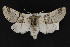 ( - CNCLEP00057857)  @12 [ ] CreativeCommons - Attribution Non-Commercial Share-Alike (2016) Unspecified Unspecified