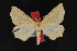  ( - CNC LEP 00054338)  @12 [ ] Unspecified (default): All Rights Reserved  Unspecified Unspecified