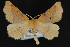  ( - CNC LEP 00054340)  @12 [ ] Unspecified (default): All Rights Reserved  Unspecified Unspecified