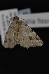  ( - CNCLEP00064128)  @12 [ ] CreativeCommons - Attribution Non-Commercial Share-Alike (2016) Unspecified Unspecified