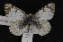  ( - CNCLEP00064133)  @12 [ ] CreativeCommons - Attribution Non-Commercial Share-Alike (2016) Unspecified Unspecified