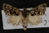 ( - CNCLEP00064150)  @14 [ ] CreativeCommons - Attribution Non-Commercial Share-Alike (2016) Unspecified Unspecified