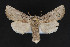  ( - CNCLEP00032084)  @11 [ ] CreativeCommons - Attribution Non-Commercial Share-Alike (2016) Unspecified Unspecified