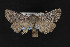  ( - CNCLEP00032096)  @11 [ ] CreativeCommons - Attribution Non-Commercial Share-Alike (2016) Unspecified Unspecified