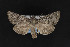  ( - CNCLEP00032097)  @11 [ ] CreativeCommons - Attribution Non-Commercial Share-Alike (2016) Unspecified Unspecified