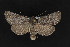  ( - CNCLEP00032098)  @11 [ ] CreativeCommons - Attribution Non-Commercial Share-Alike (2016) Unspecified Unspecified