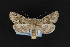  ( - CNC LEP 00053297)  @14 [ ] Unspecified (default): All Rights Reserved  Unspecified Unspecified
