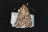  ( - CNCLEP00053300)  @12 [ ] CreativeCommons - Attribution Non-Commercial Share-Alike (2016) Unspecified Unspecified