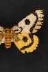  ( - CNCLEP00067979)  @13 [ ] CreativeCommons - Attribution Non-Commercial Share-Alike (2016) Unspecified Unspecified