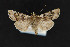  ( - CNCLEP00068037)  @13 [ ] CreativeCommons - Attribution Non-Commercial Share-Alike (2016) Unspecified Unspecified