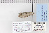  ( - CNCLEP 70282)  @12 [ ] CreativeCommons - Attribution Non-Commercial Share-Alike (2010) Canadian National Collection of Insects, Arachnids and Nematodes Canadian National Collection of Insects, Arachnids and Nematodes