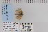  ( - CNCLEP 70297)  @12 [ ] CreativeCommons - Attribution Non-Commercial Share-Alike (2010) Canadian National Collection of Insects, Arachnids and Nematodes Canadian National Collection of Insects, Arachnids and Nematodes