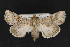  ( - CNCLEP 73786)  @13 [ ] CreativeCommons - Attribution Non-Commercial Share-Alike (2016) Unspecified Unspecified