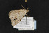  ( - CNCLEP 73848)  @11 [ ] CreativeCommons - Attribution Non-Commercial Share-Alike (2016) Unspecified Unspecified