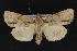 ( - CNCLEP 73860)  @12 [ ] CreativeCommons - Attribution Non-Commercial Share-Alike (2016) Unspecified Unspecified