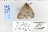  ( - CNCLEP 80097)  @12 [ ] CreativeCommons - Attribution Non-Commercial Share-Alike (2010) Canadian National Collection of Insects, Arachnids and Nematodes Canadian National Collection of Insects, Arachnids and Nematodes