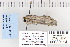 ( - CNCLEP 80114)  @12 [ ] CreativeCommons - Attribution Non-Commercial Share-Alike (2010) Canadian National Collection of Insects, Arachnids and Nematodes Canadian National Collection of Insects, Arachnids and Nematodes