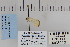  ( - CNCLEP 80121)  @12 [ ] CreativeCommons - Attribution Non-Commercial Share-Alike (2010) Canadian National Collection of Insects, Arachnids and Nematodes Canadian National Collection of Insects, Arachnids and Nematodes