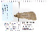  ( - CNCLEP 80207)  @12 [ ] CreativeCommons - Attribution Non-Commercial Share-Alike (2010) Canadian National Collection of Insects, Arachnids and Nematodes Canadian National Collection of Insects, Arachnids and Nematodes