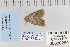  ( - CNCLEP 80289)  @12 [ ] CreativeCommons - Attribution Non-Commercial Share-Alike (2010) Canadian National Collection of Insects, Arachnids and Nematodes Canadian National Collection of Insects, Arachnids and Nematodes