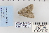 ( - CNCLEP 80290)  @12 [ ] CreativeCommons - Attribution Non-Commercial Share-Alike (2010) Canadian National Collection of Insects, Arachnids and Nematodes Canadian National Collection of Insects, Arachnids and Nematodes