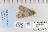  ( - CNCLEP 80305)  @12 [ ] CreativeCommons - Attribution Non-Commercial Share-Alike (2010) Canadian National Collection of Insects, Arachnids and Nematodes Canadian National Collection of Insects, Arachnids and Nematodes
