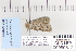  ( - CNCLEP 80312)  @12 [ ] CreativeCommons - Attribution Non-Commercial Share-Alike (2010) Canadian National Collection of Insects, Arachnids and Nematodes Canadian National Collection of Insects, Arachnids and Nematodes