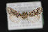 ( - CNCLEP 84232)  @12 [ ] CreativeCommons - Attribution Non-Commercial Share-Alike (2010) Canadian National Collection of Insects, Arachnids and Nematodes Canadian National Collection of Insects, Arachnids and Nematodes