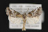  (Aleptina inca - CNCLEP 84254)  @15 [ ] CreativeCommons - Attribution Non-Commercial Share-Alike (2010) Canadian National Collection of Insects, Arachnids and Nematodes Canadian National Collection of Insects, Arachnids and Nematodes