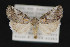  ( - CNCLEP 84255)  @15 [ ] CreativeCommons - Attribution Non-Commercial Share-Alike (2010) Canadian National Collection of Insects, Arachnids and Nematodes Canadian National Collection of Insects, Arachnids and Nematodes