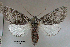  ( - acrorev155)  @14 [ ] Unspecified (default): All Rights Reserved (2012) Don Lafontaine Unspecified